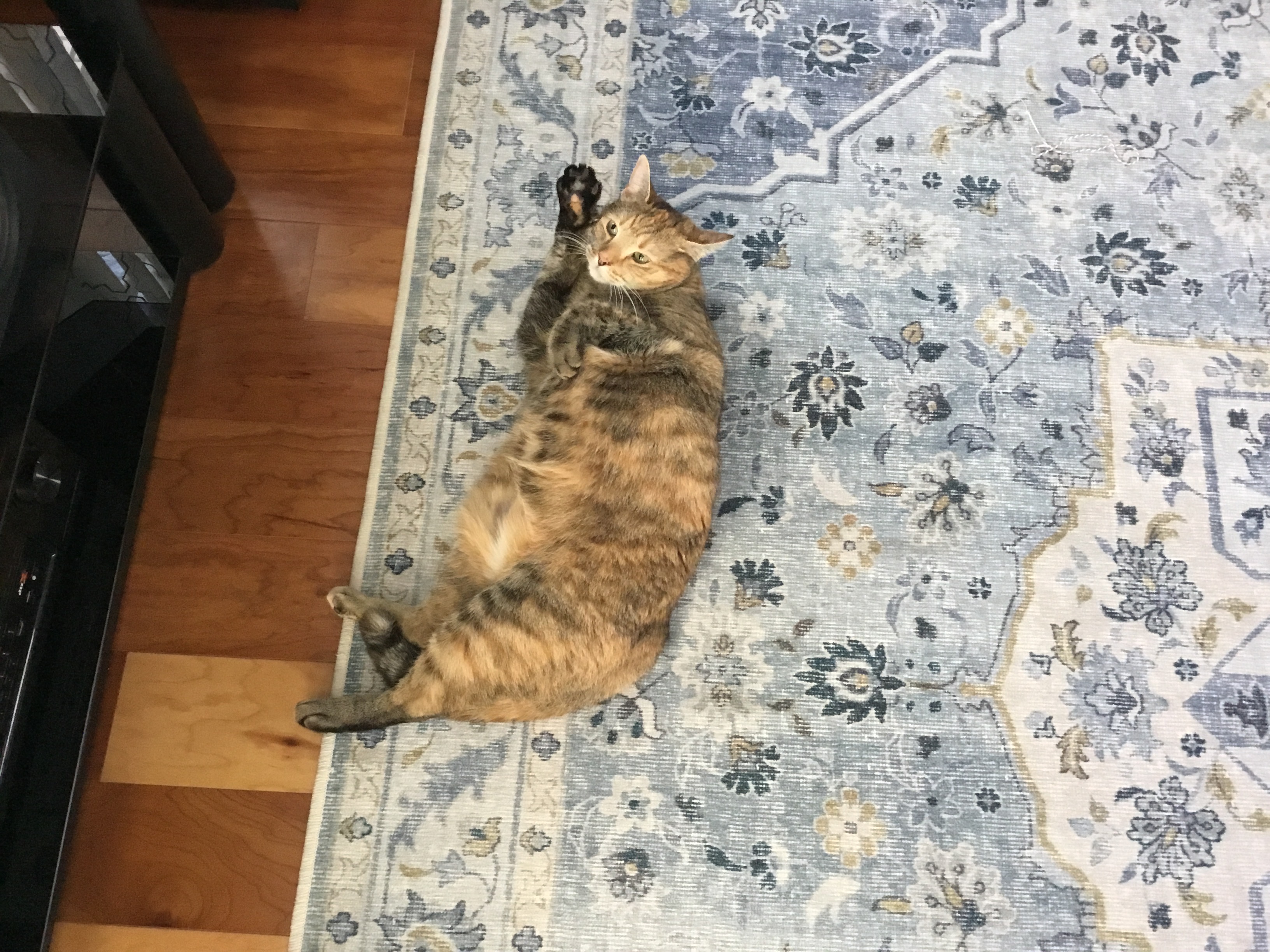 Sup