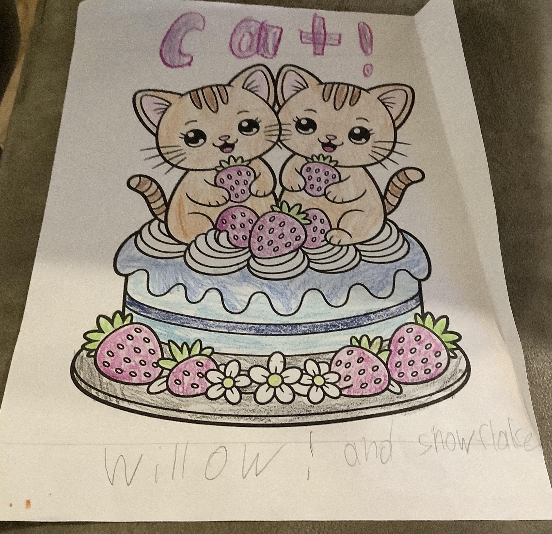 This is for Willow and snowflake🐈 and they are very cute if you keep looking or you’ve seen it you will see who Willow and snowflake are oh and by the way there are cats