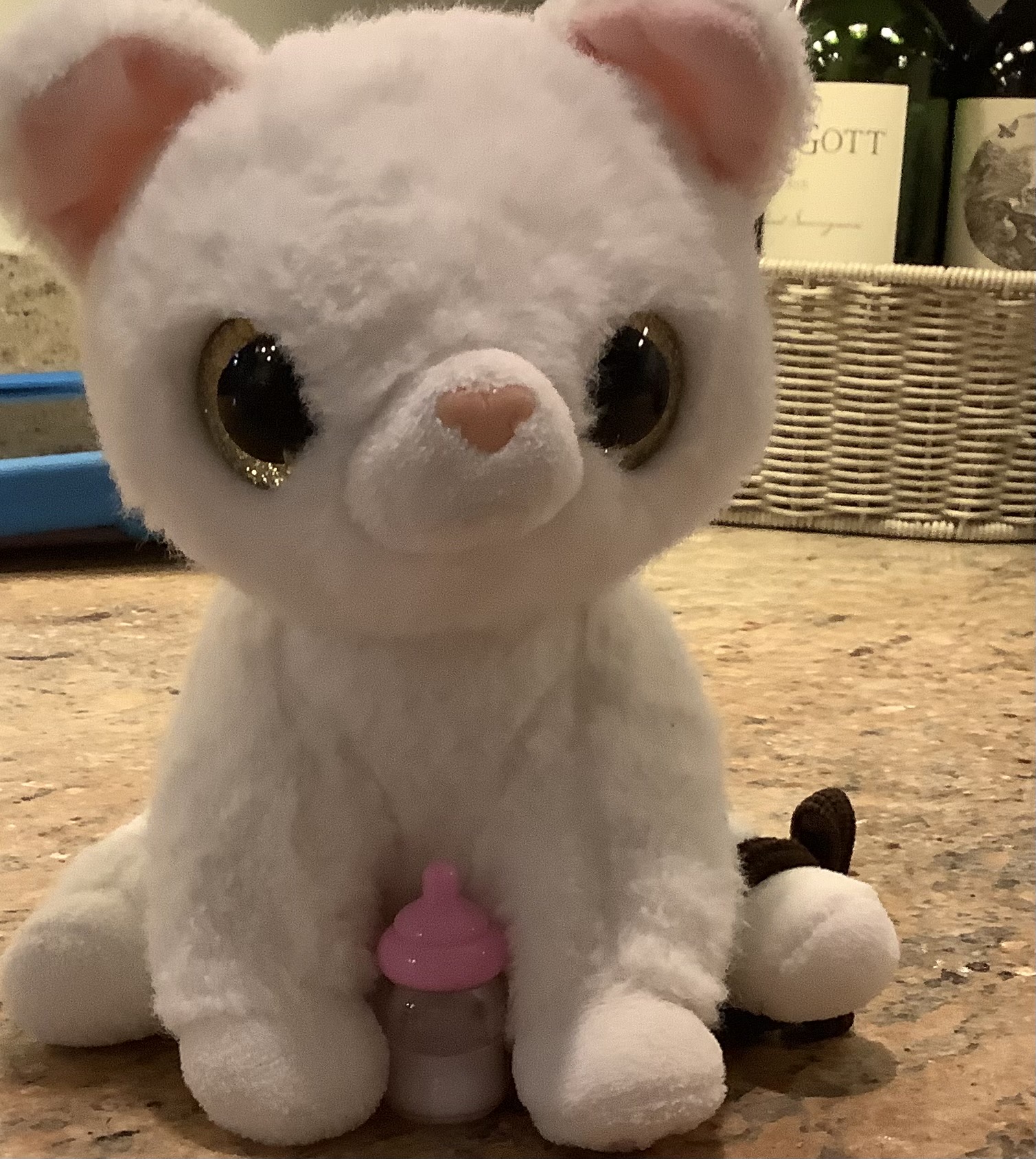 This is snowflake my cat
